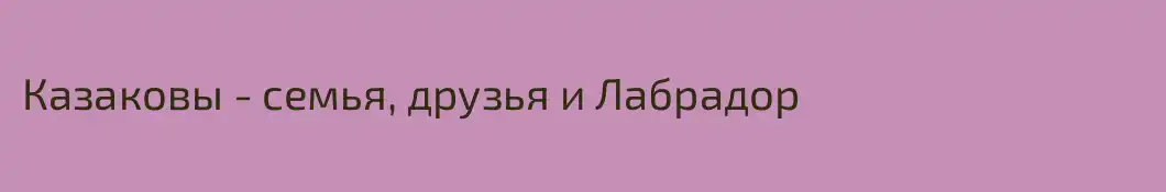 Казаковы - семья, друзья и Лабрадор